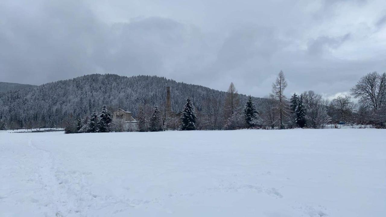 A 2 Pas Du Lac Appartement Xonrupt-Longemer Buitenkant foto