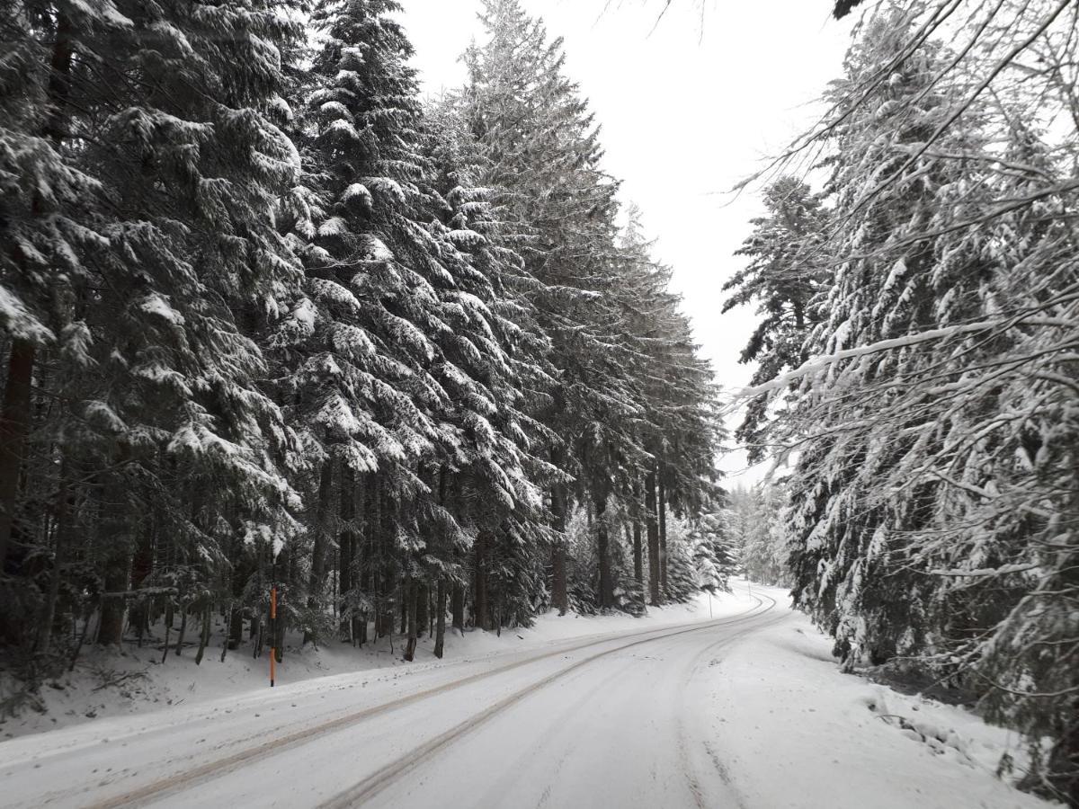 A 2 Pas Du Lac Appartement Xonrupt-Longemer Buitenkant foto