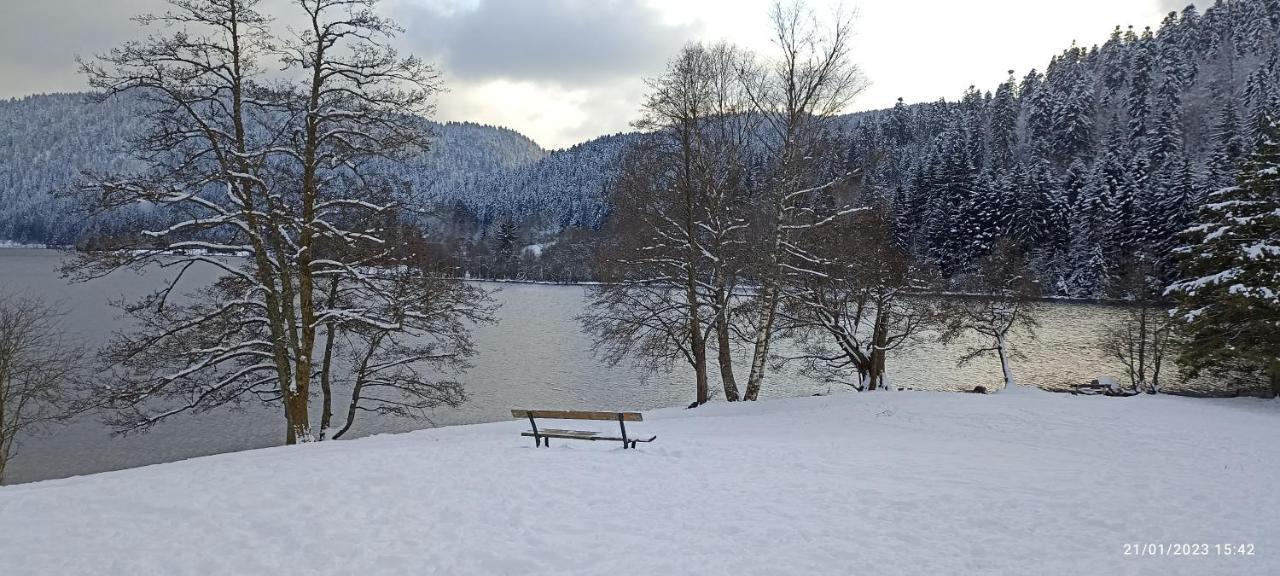 A 2 Pas Du Lac Appartement Xonrupt-Longemer Buitenkant foto
