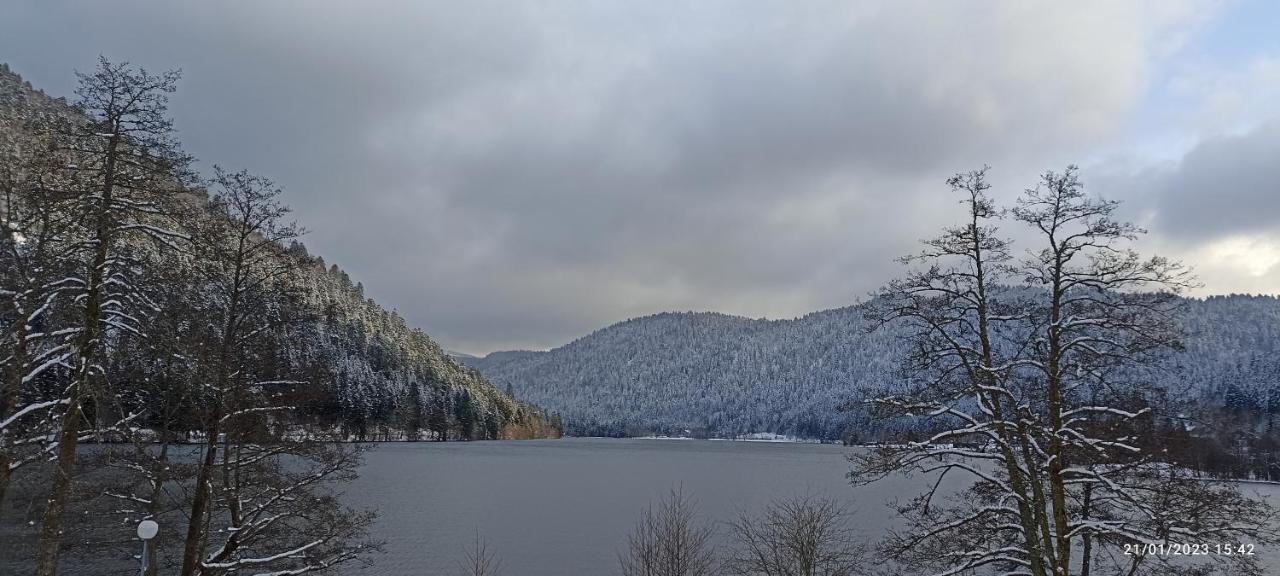 A 2 Pas Du Lac Appartement Xonrupt-Longemer Buitenkant foto
