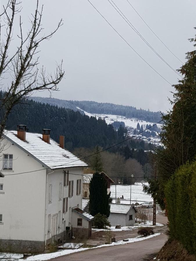A 2 Pas Du Lac Appartement Xonrupt-Longemer Buitenkant foto