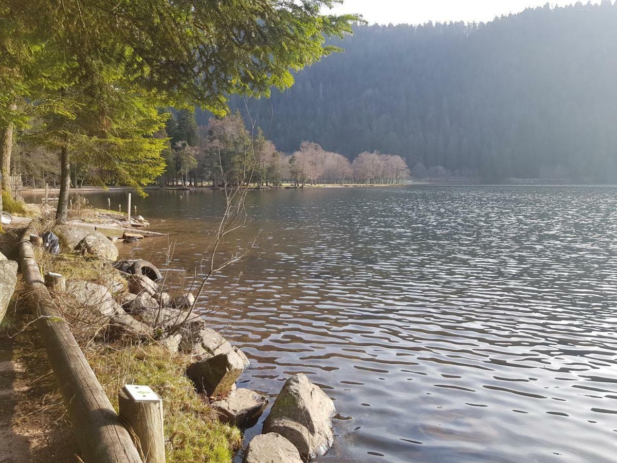 A 2 Pas Du Lac Appartement Xonrupt-Longemer Buitenkant foto