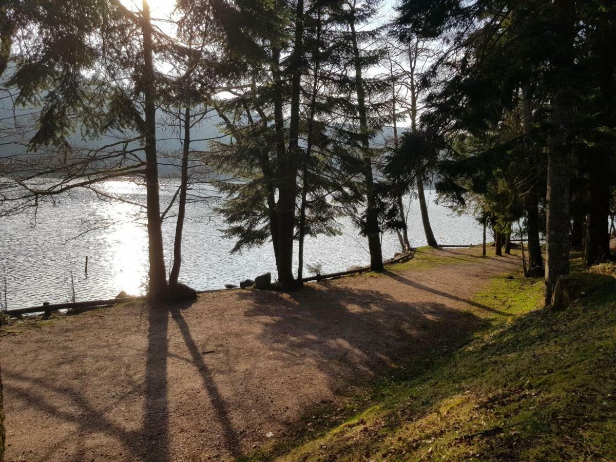 A 2 Pas Du Lac Appartement Xonrupt-Longemer Buitenkant foto